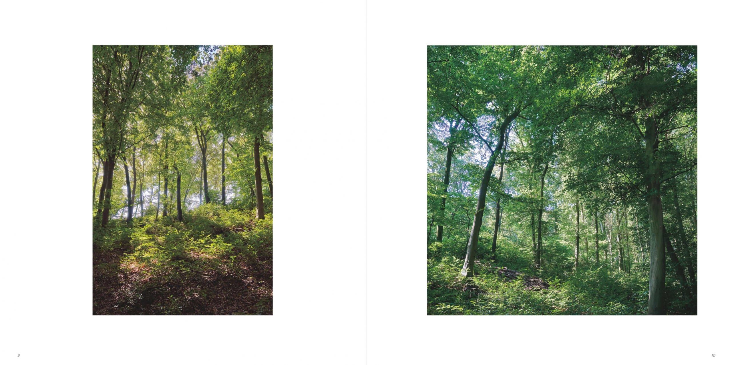 Klaus Suberg Bildband Baum