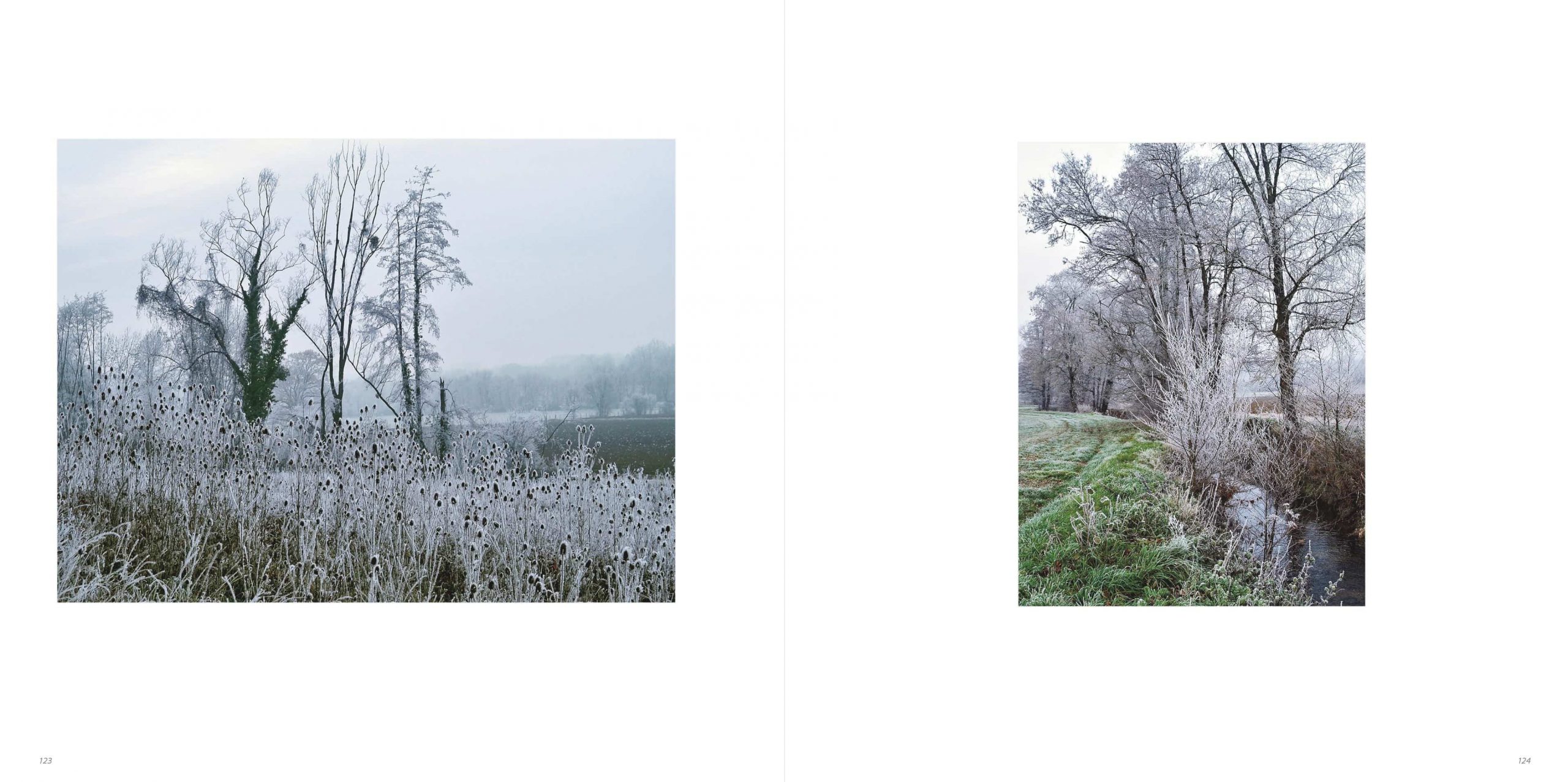 Klaus Suberg Bildband Baum